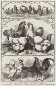 La Exposición Avícola de Londres, Premios